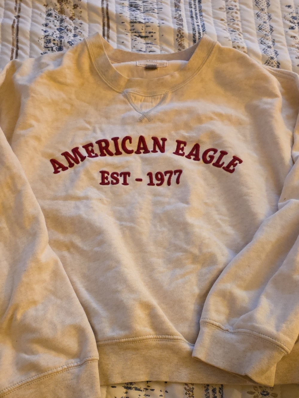 American Eagle Outfitters Cream Crewneck with Red Chest Logo